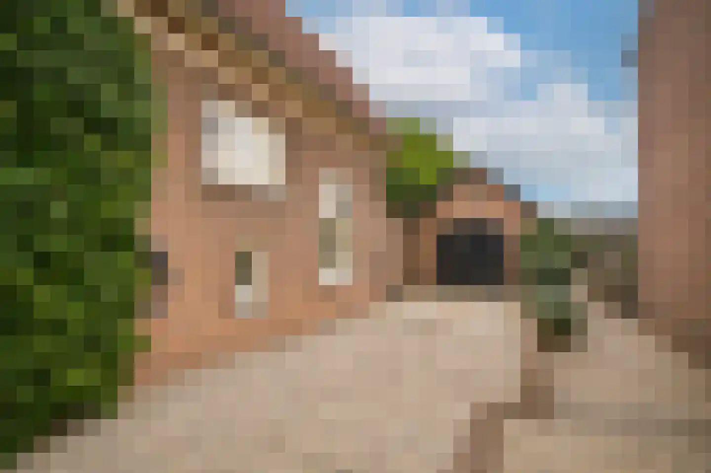 Dijkstraat 27 Beneden-Leeuwen thumbnail 6