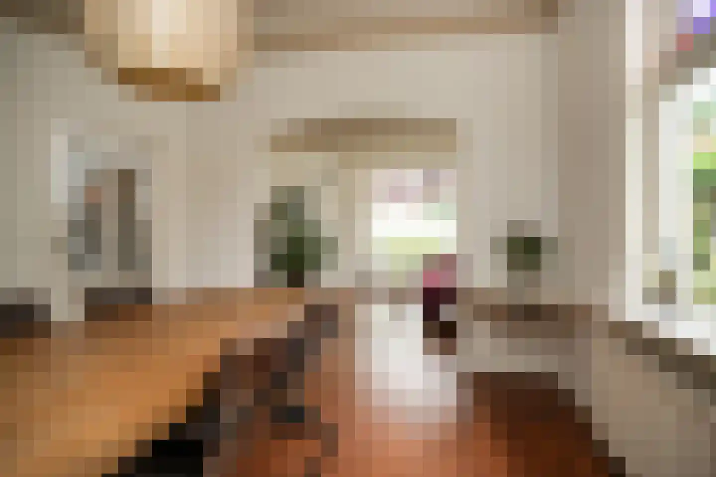 Dijkstraat 27 Beneden-Leeuwen thumbnail 8