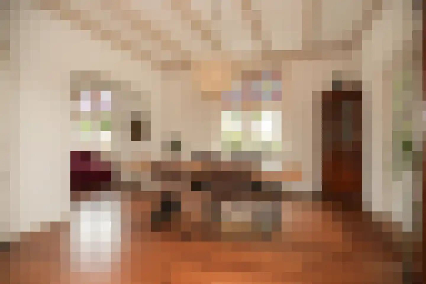 Dijkstraat 27 Beneden-Leeuwen thumbnail 9
