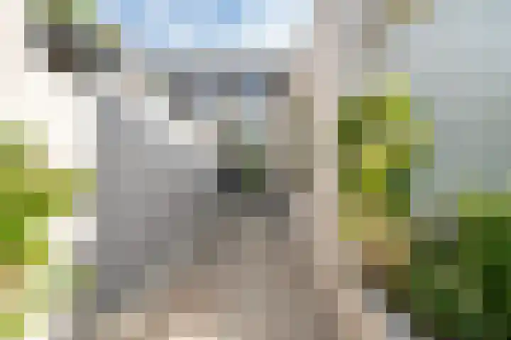 Dijkstraat 27 Breda thumbnail 35