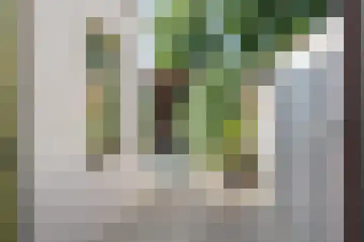 Dijkstraat 27 Breda thumbnail 36
