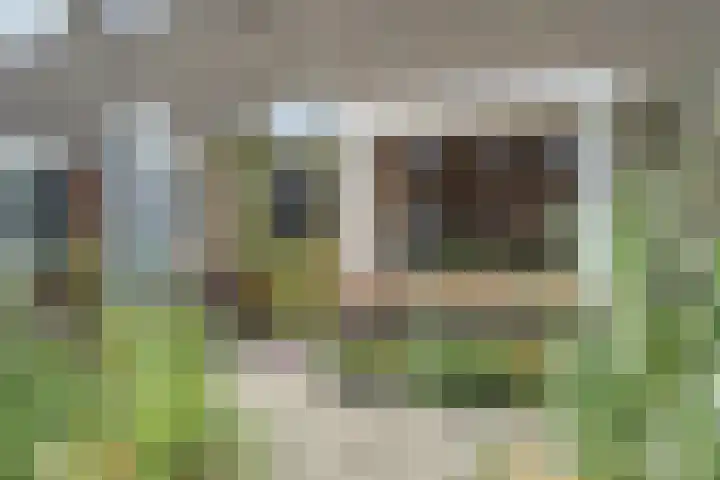 Dijkstraat 27 Breda thumbnail 5