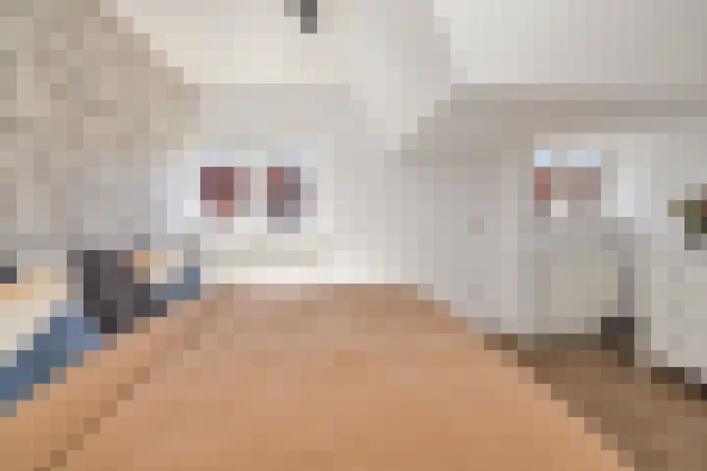 Dijkstraat 27 Den Oever thumbnail 20