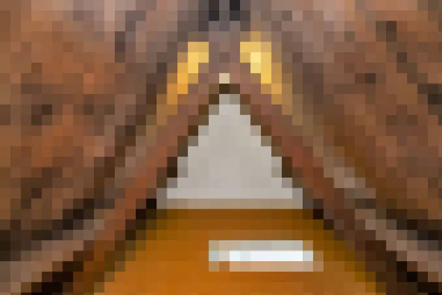 Dijkstraat 27 Den Oever thumbnail 28