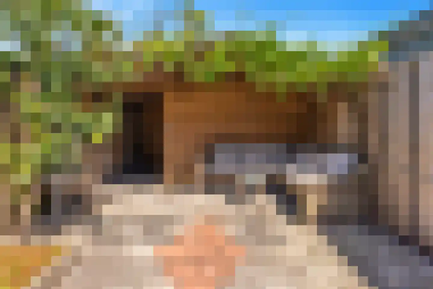 Dijkstraat 27 Den Oever thumbnail 31
