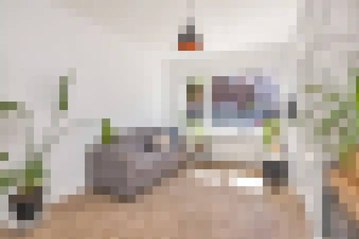 Dijkstraat 27 Den Oever thumbnail 5