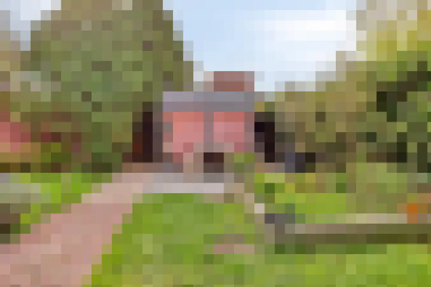 Dijkstraat 28 Honselersdijk thumbnail 28