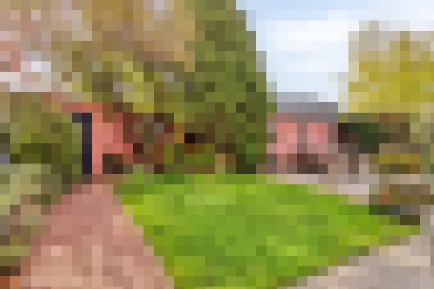 Dijkstraat 28 Honselersdijk thumbnail 29