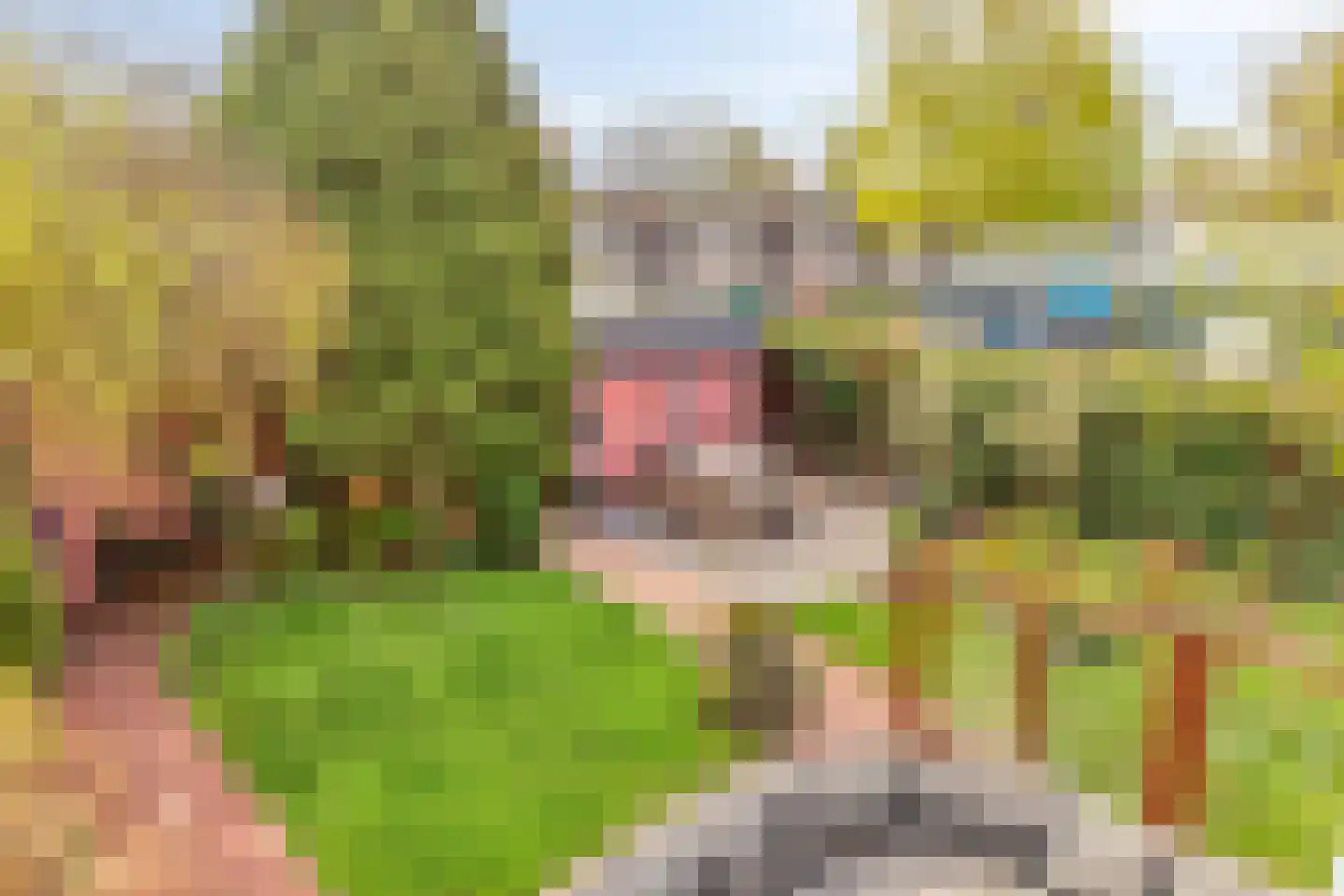 Dijkstraat 28 Honselersdijk thumbnail 33