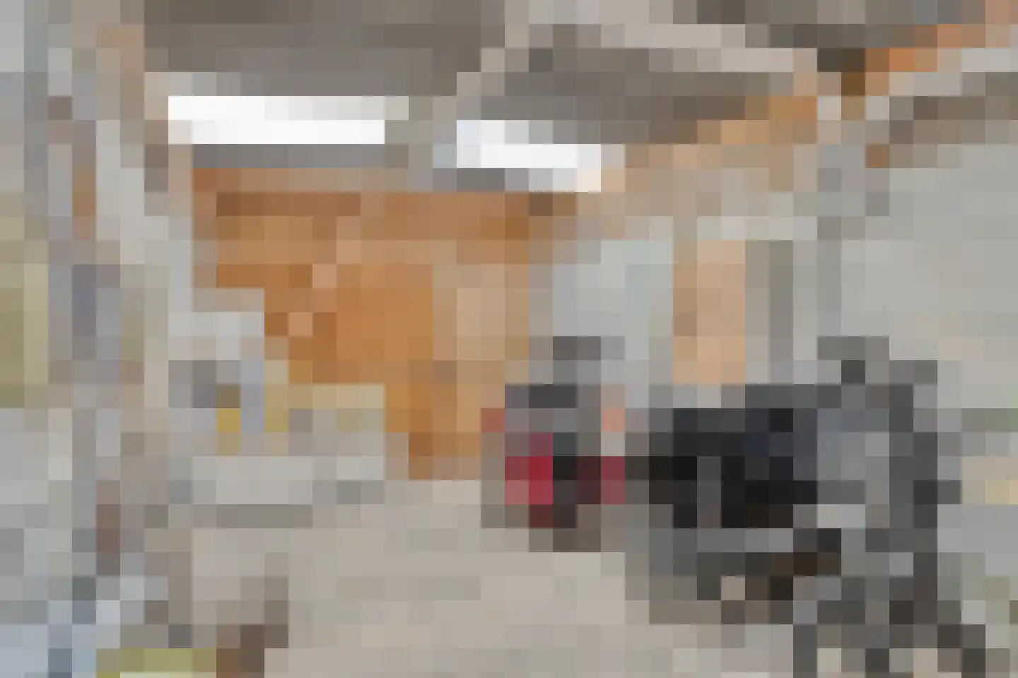 Dijkstraat 28 Honselersdijk thumbnail 35