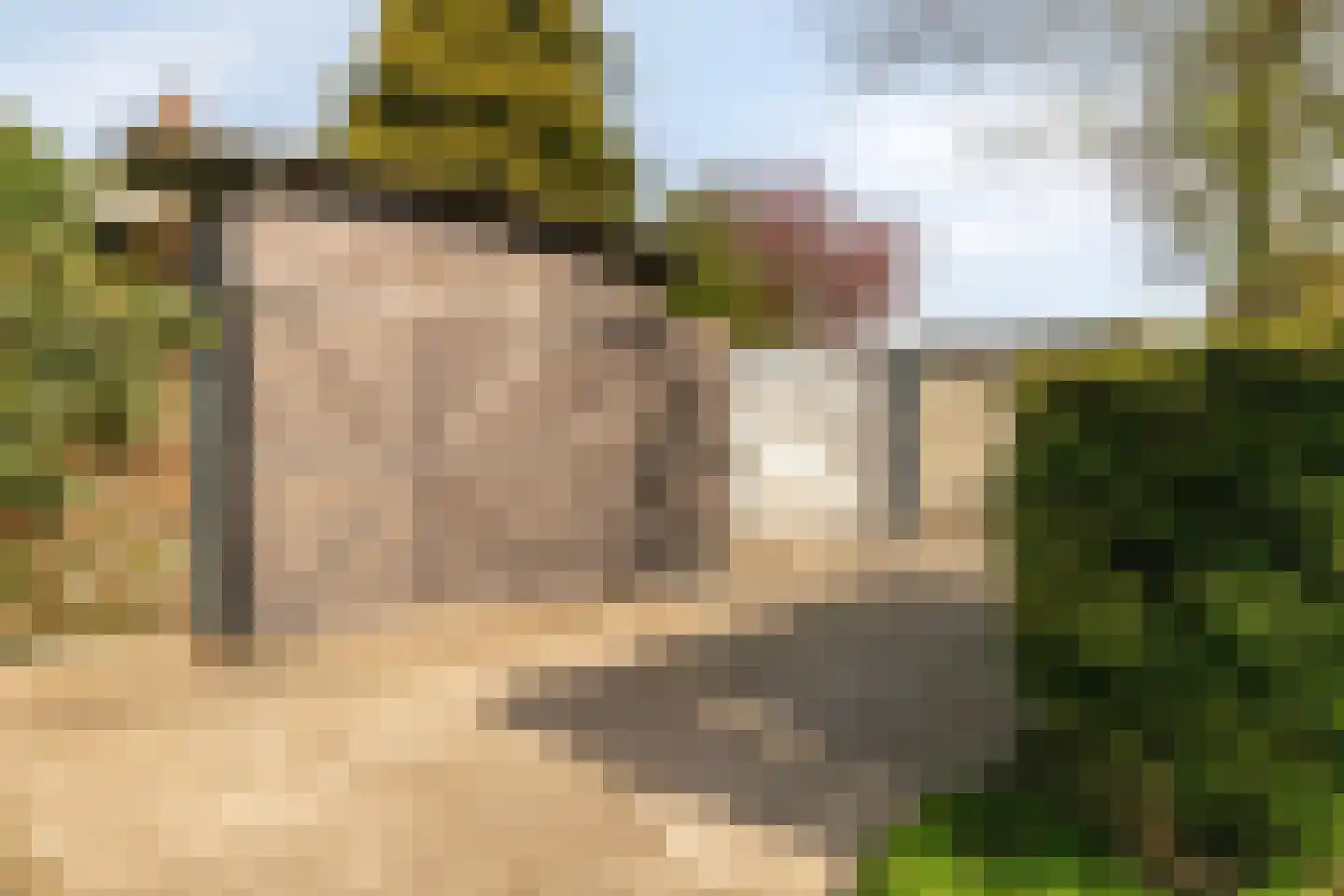 Dijkstraat 28 Honselersdijk thumbnail 38