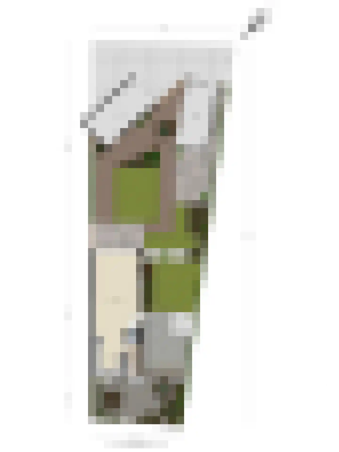 Dijkstraat 28 Honselersdijk thumbnail 42