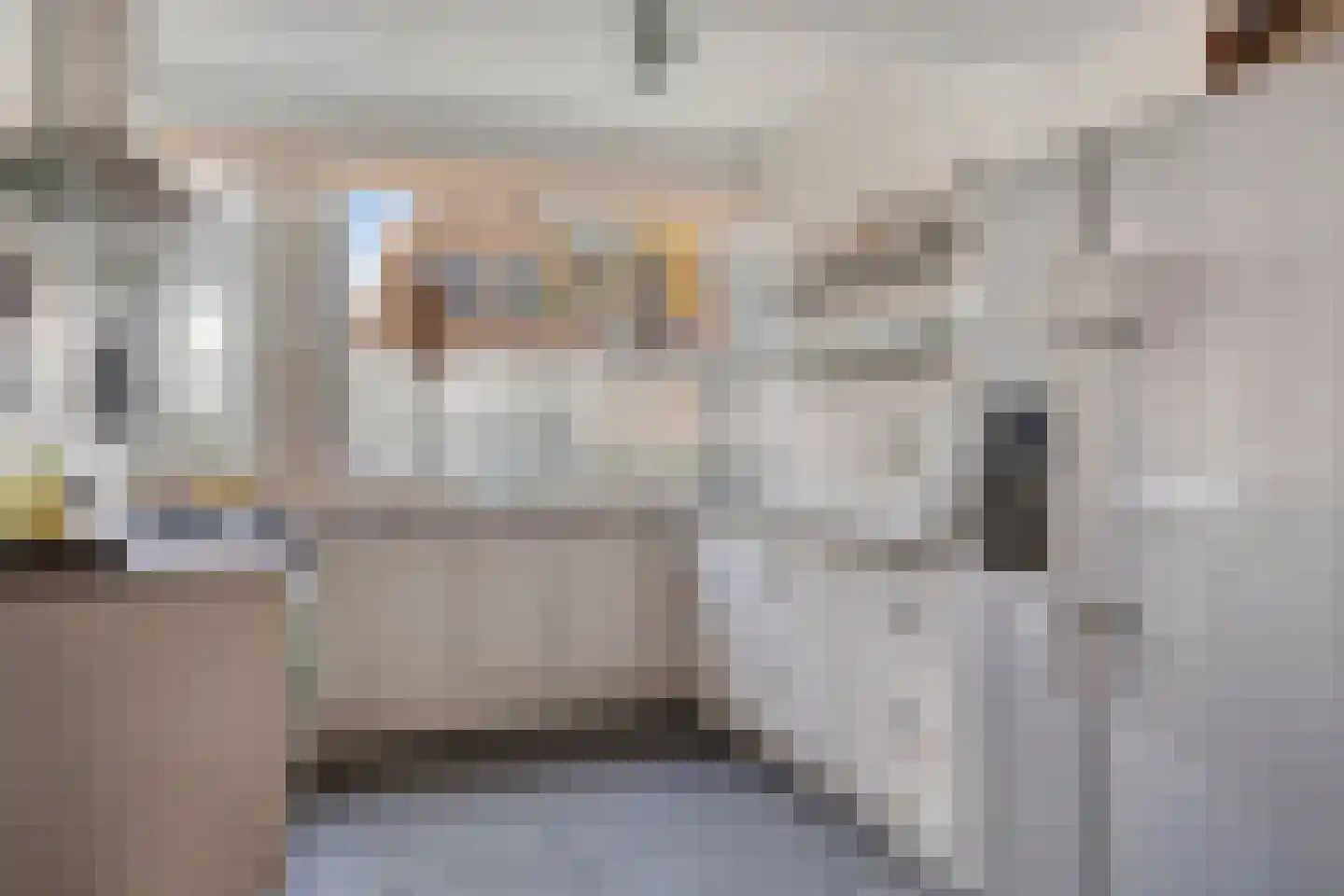 Dijkstraat 28 Honselersdijk thumbnail 8