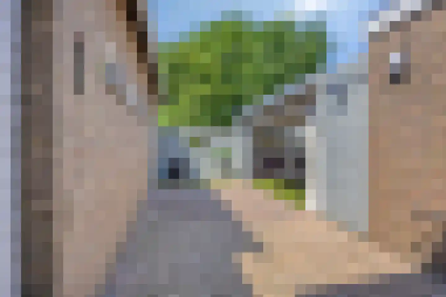 Dijkstraat 3 Weurt thumbnail 32