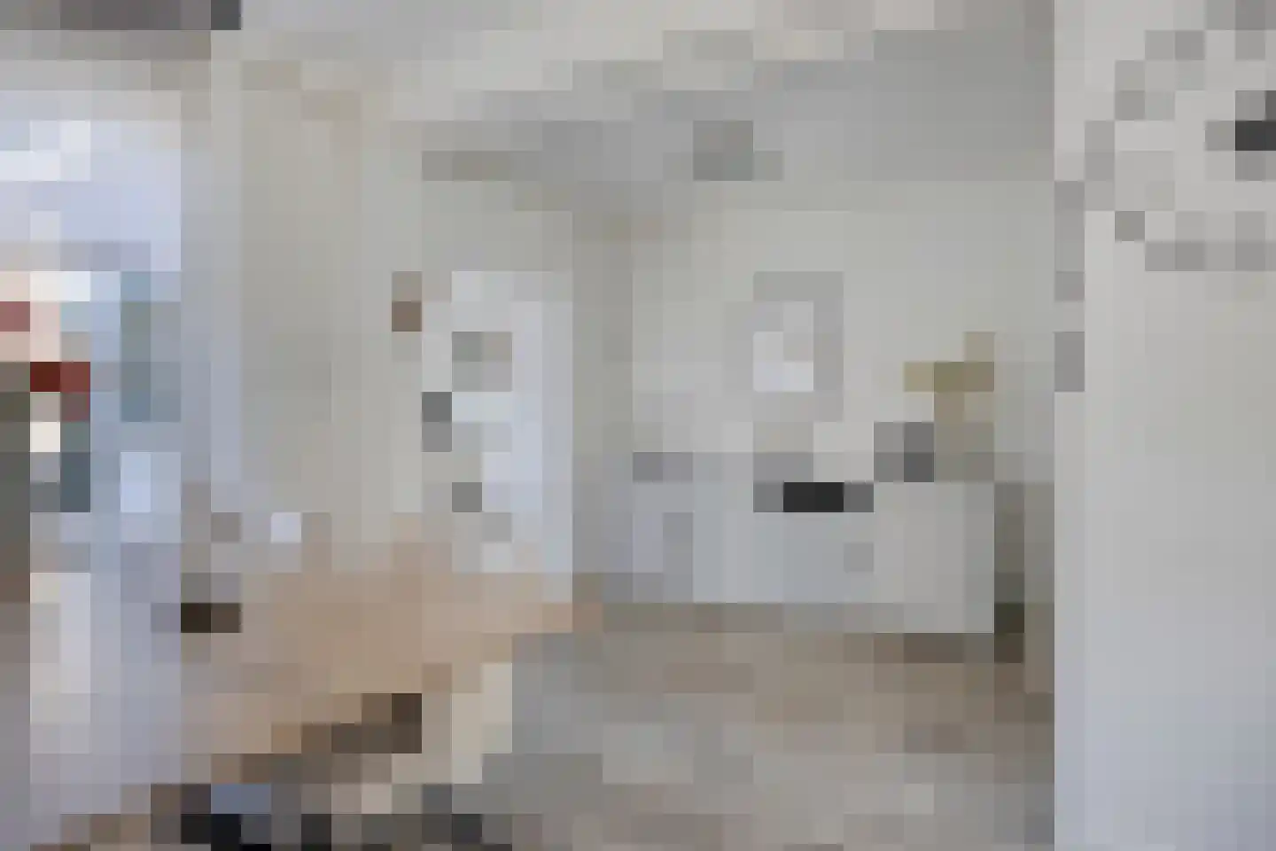 Dijkstraat 3 Weurt thumbnail 9