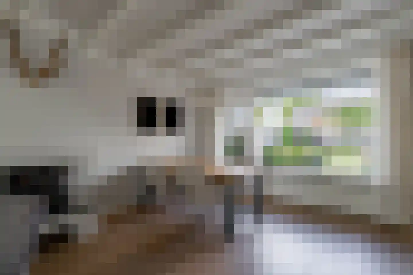 Dijkstraat 31 Bemmel thumbnail 13