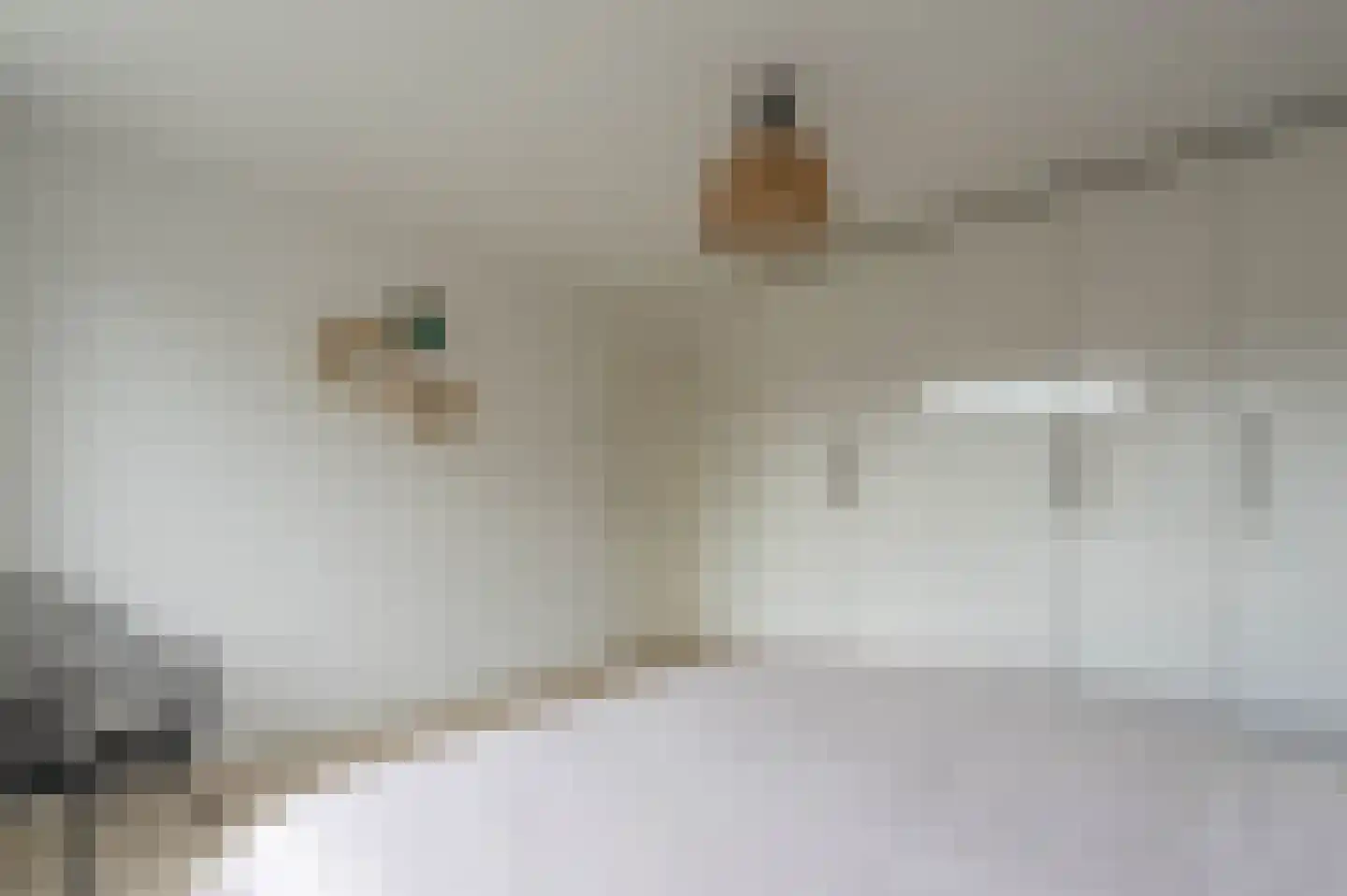 Dijkstraat 31 Bemmel thumbnail 24