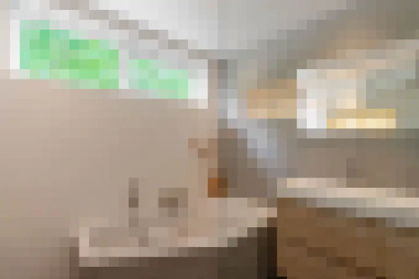 Dijkstraat 31 Bemmel thumbnail 30