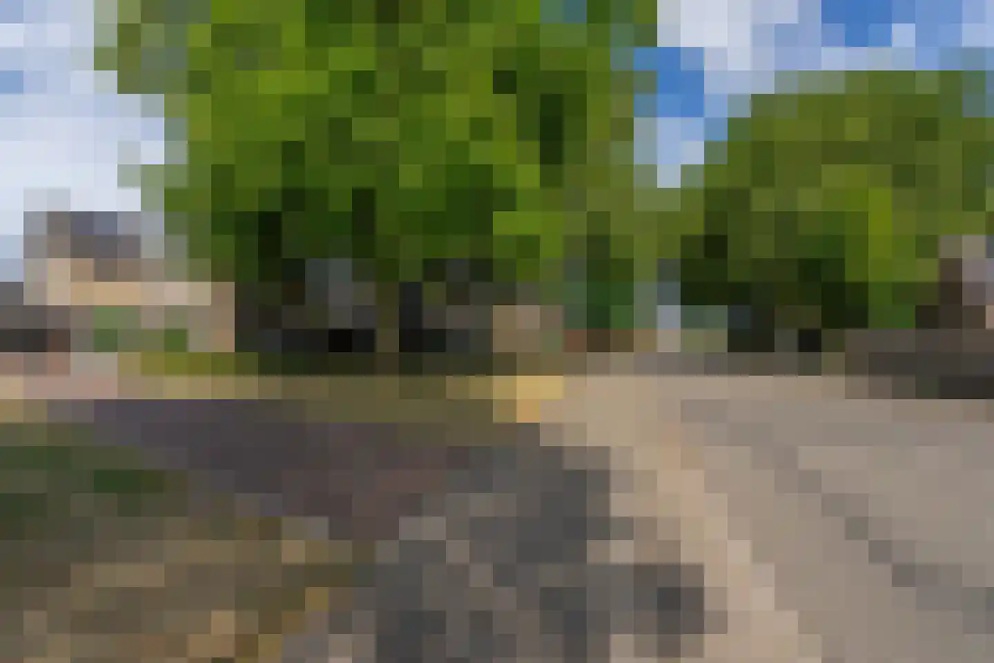 Dijkstraat 31 Bemmel thumbnail 48