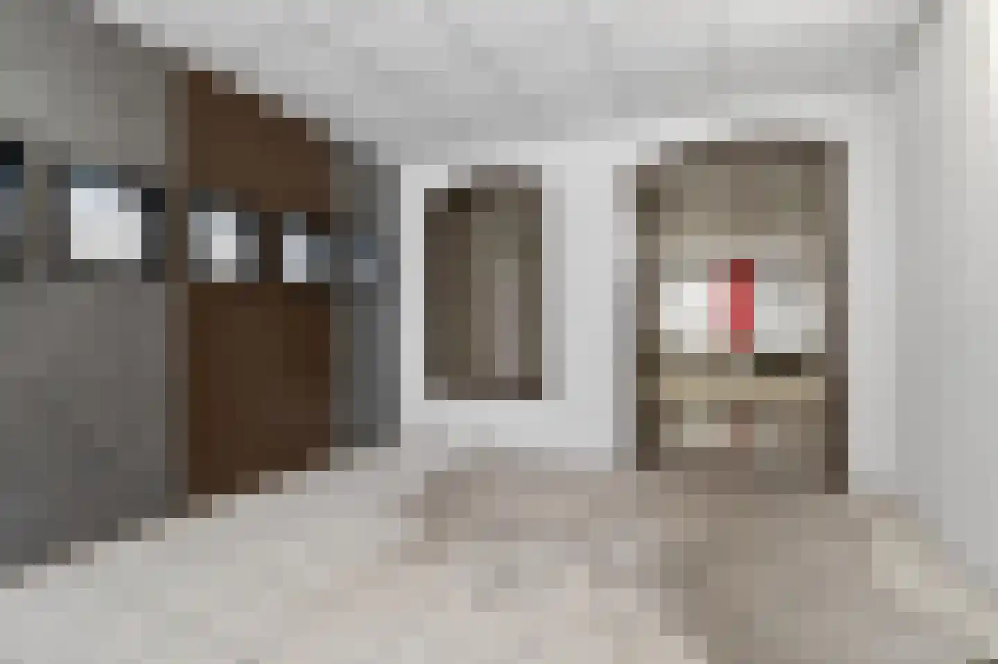 Dijkstraat 31 Franeker thumbnail 29
