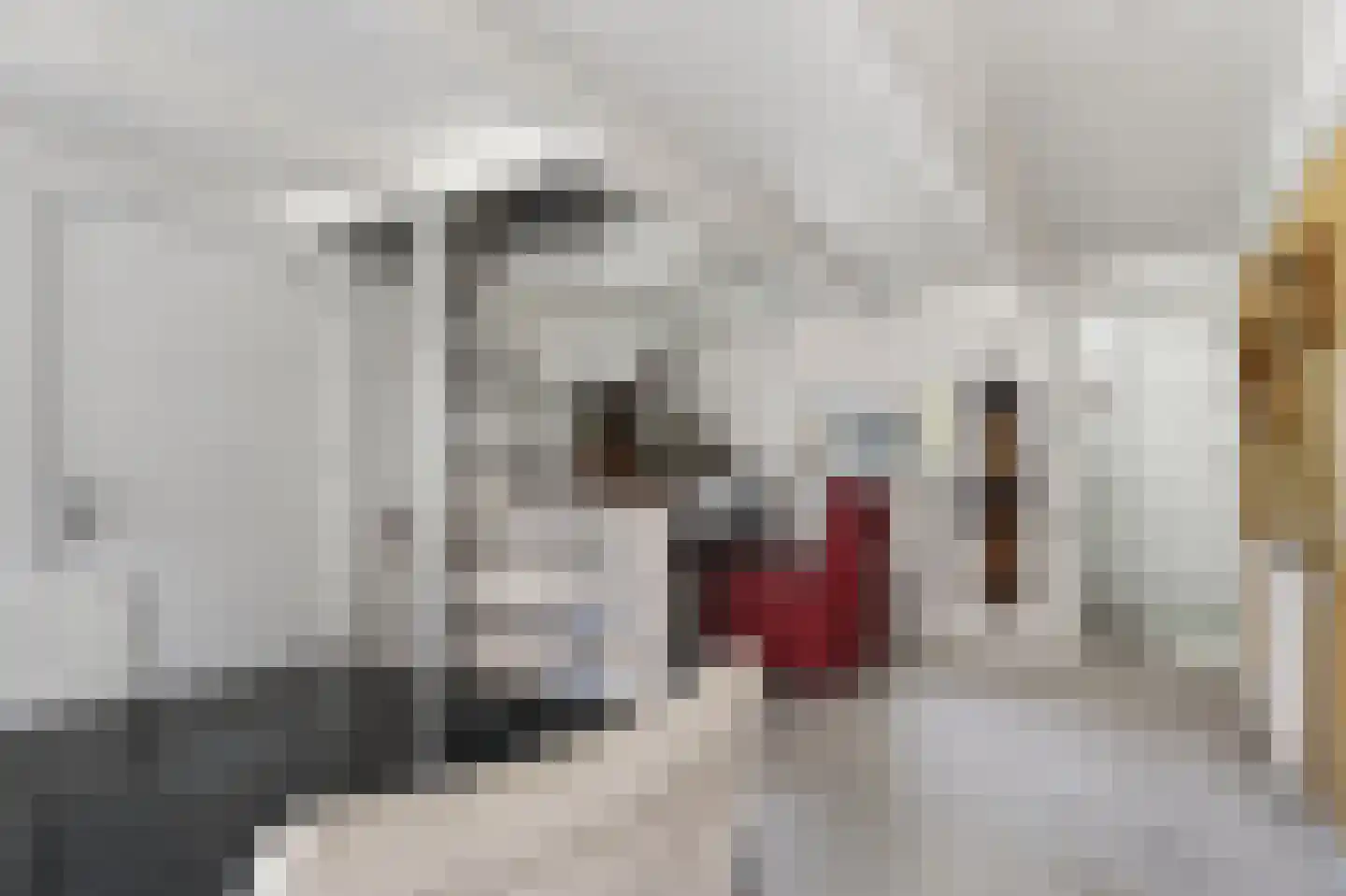 Dijkstraat 31 Franeker thumbnail 9