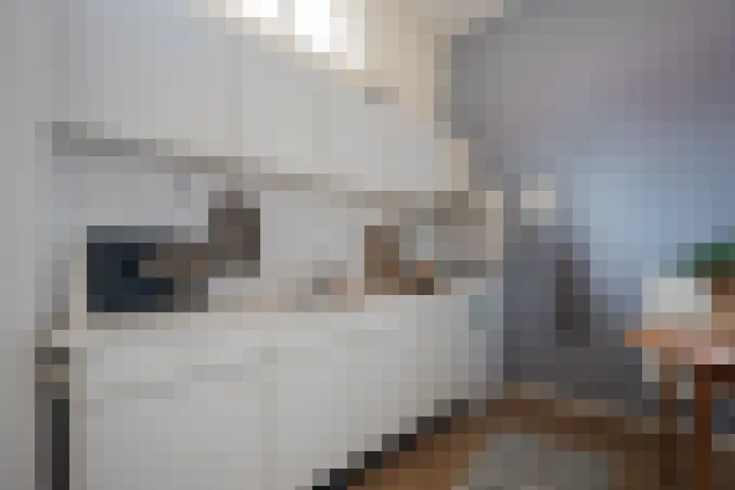 Dijkstraat 31 Groningen thumbnail 17