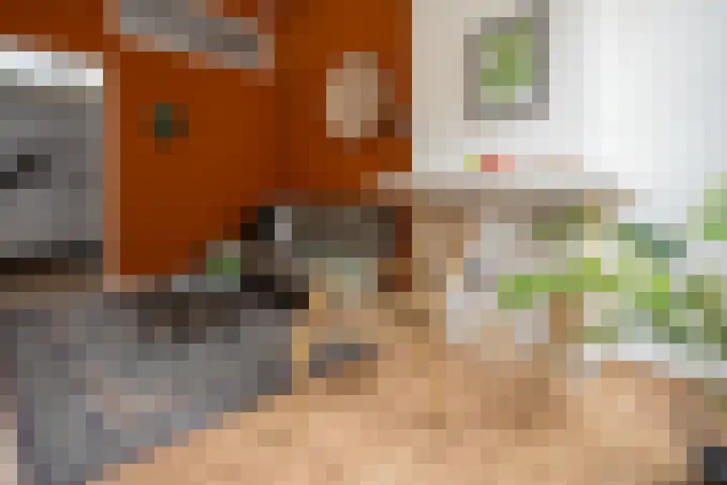 Dijkstraat 31 Groningen thumbnail 9
