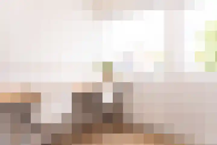 Dijkstraat 32 Den Oever thumbnail 17