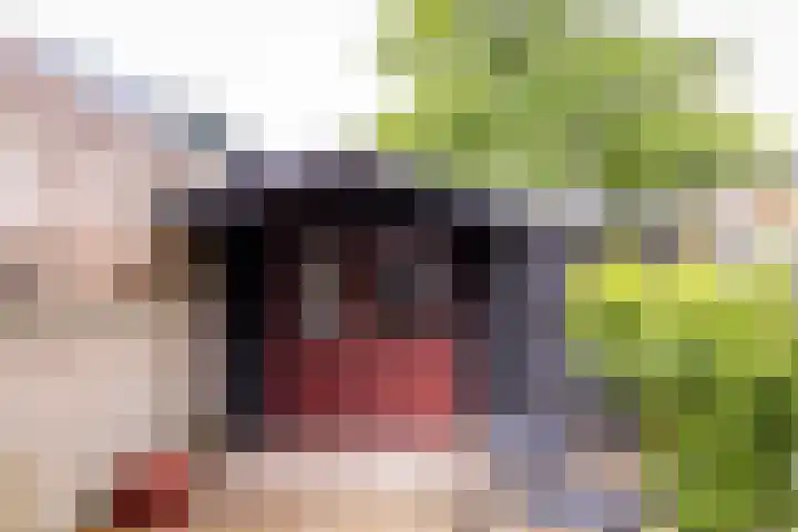 Dijkstraat 32 Den Oever thumbnail 23
