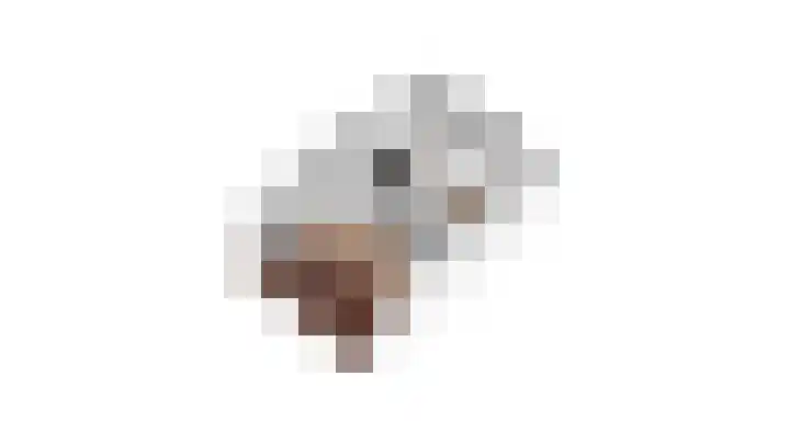 Dijkstraat 32 Den Oever thumbnail 27