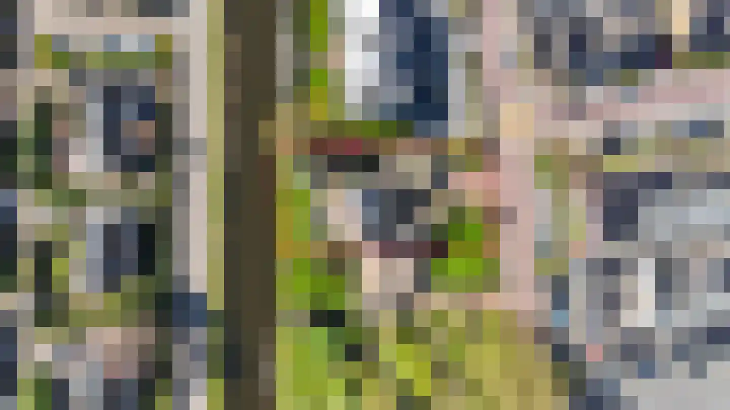 Dijkstraat 32 Roelofarendsveen thumbnail 21