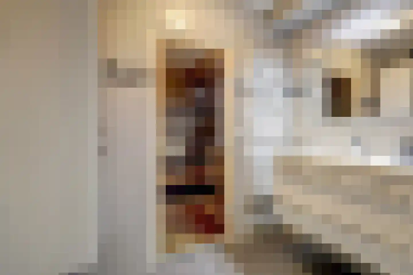 Dijkstraat 32 Roelofarendsveen thumbnail 41