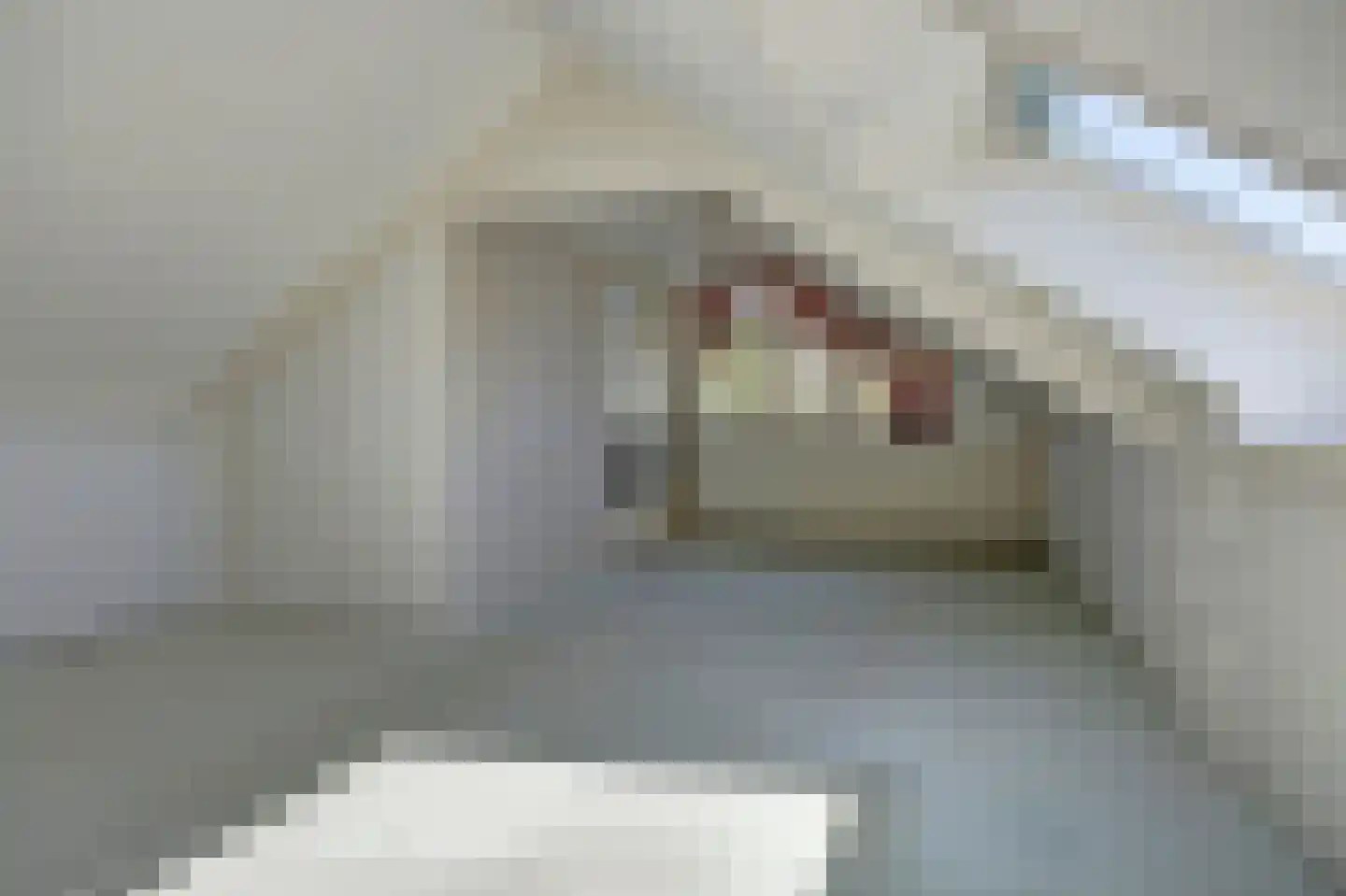 Dijkstraat 32 Roelofarendsveen thumbnail 51