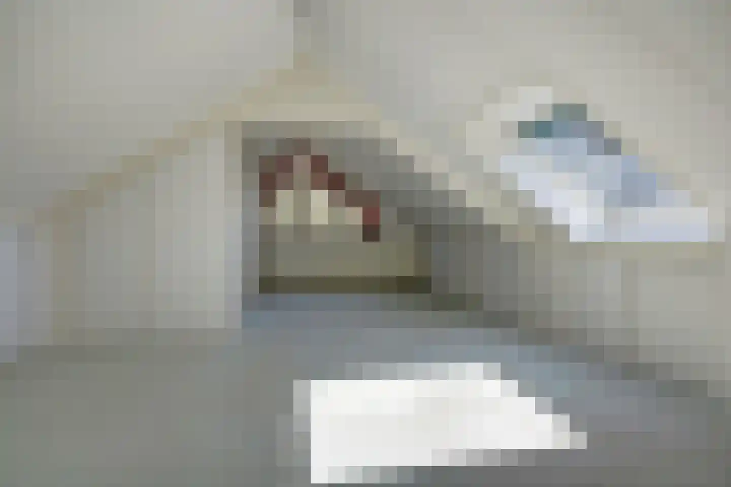 Dijkstraat 32 Roelofarendsveen thumbnail 52