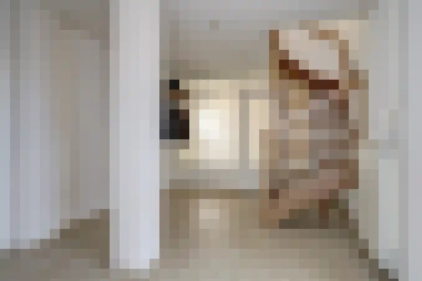 Dijkstraat 32 Roelofarendsveen thumbnail 9