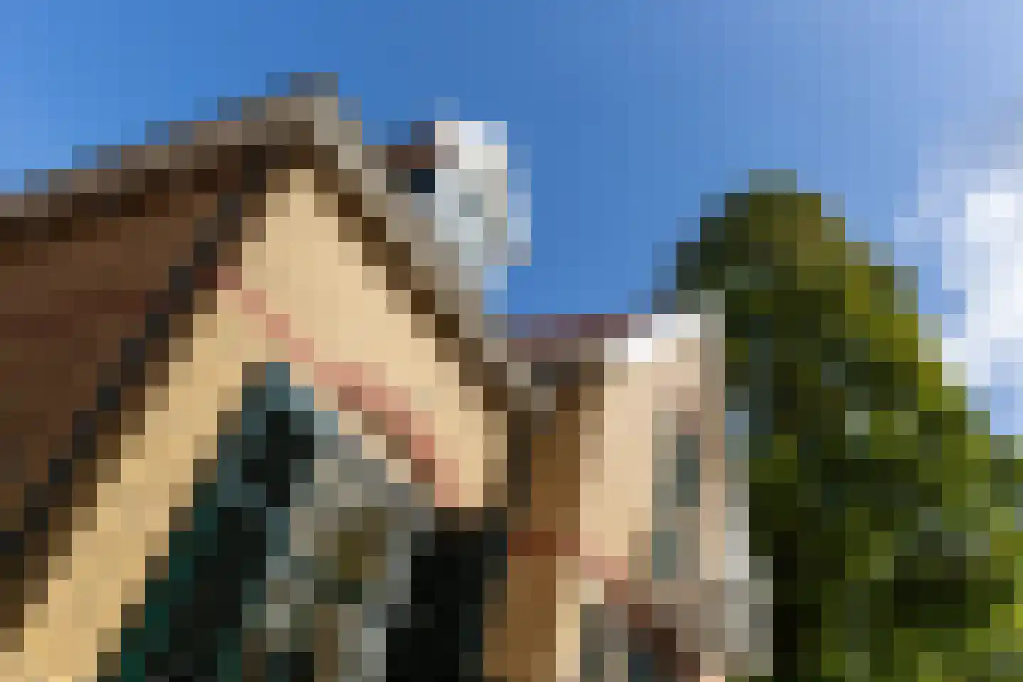 Dijkstraat 33 Lichtenvoorde thumbnail 4