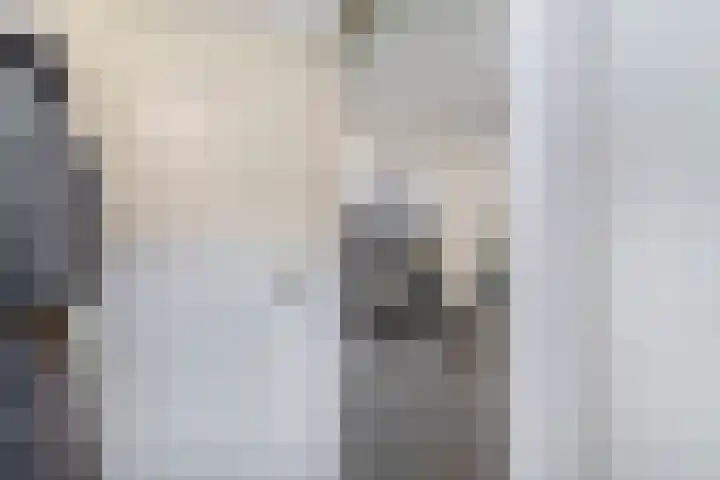Dijkstraat 4 Brielle thumbnail 10