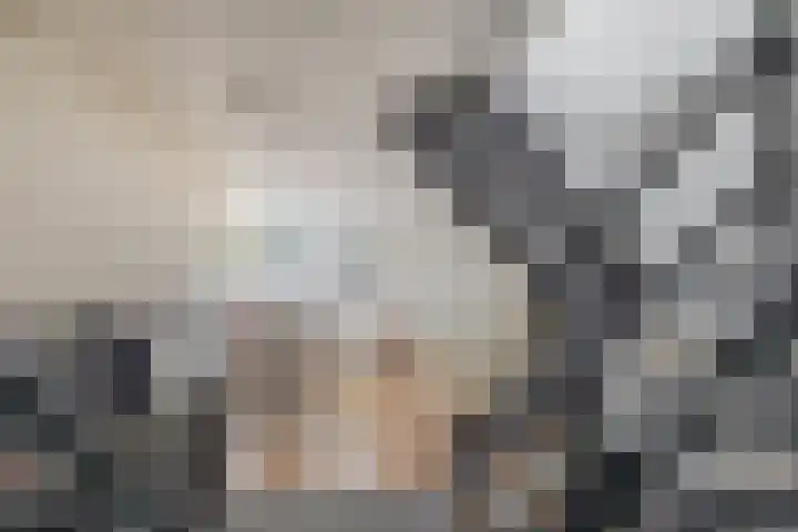 Dijkstraat 4 Brielle thumbnail 16