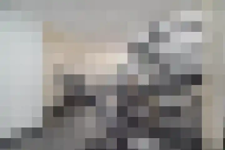 Dijkstraat 4 Brielle thumbnail 18