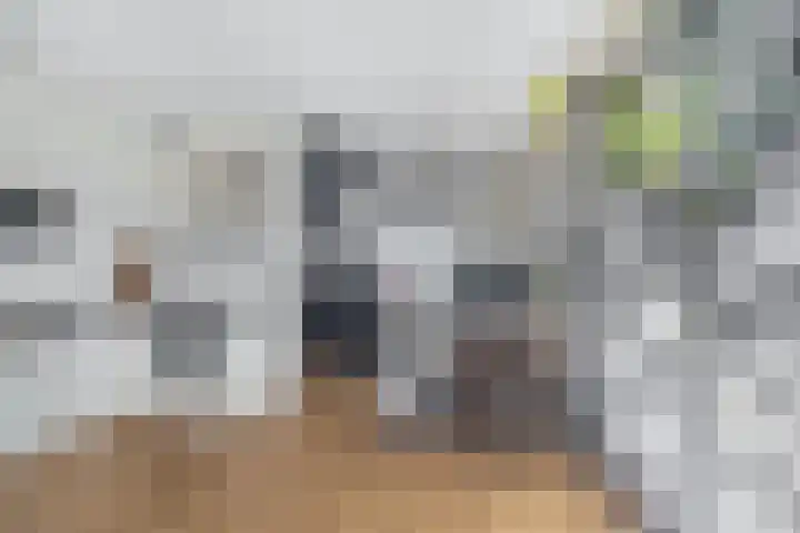 Dijkstraat 4 Brielle thumbnail 22