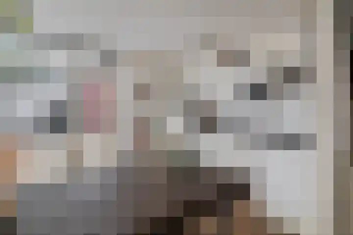 Dijkstraat 4 Brielle thumbnail 23