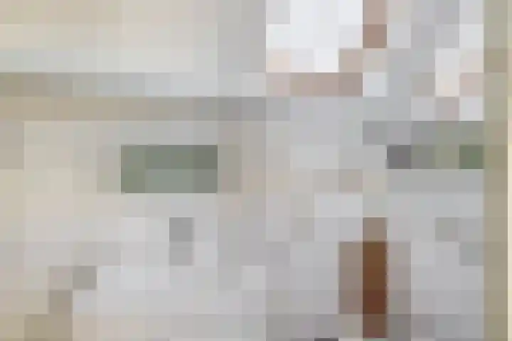 Dijkstraat 4 Brielle thumbnail 36