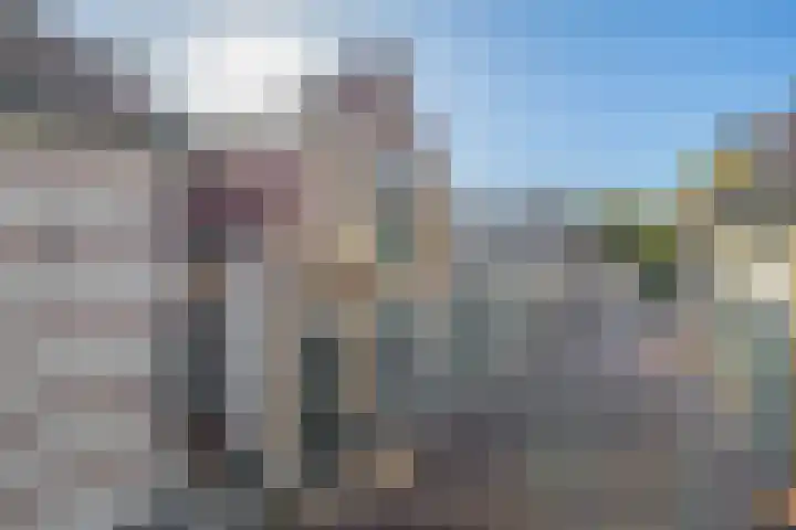 Dijkstraat 4 Brielle thumbnail 6