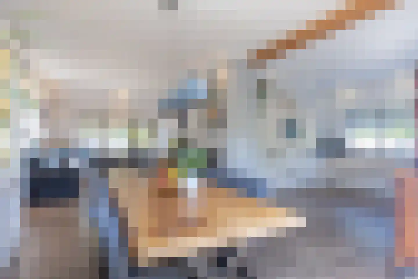 Dijkstraat 4 Gendt thumbnail 11