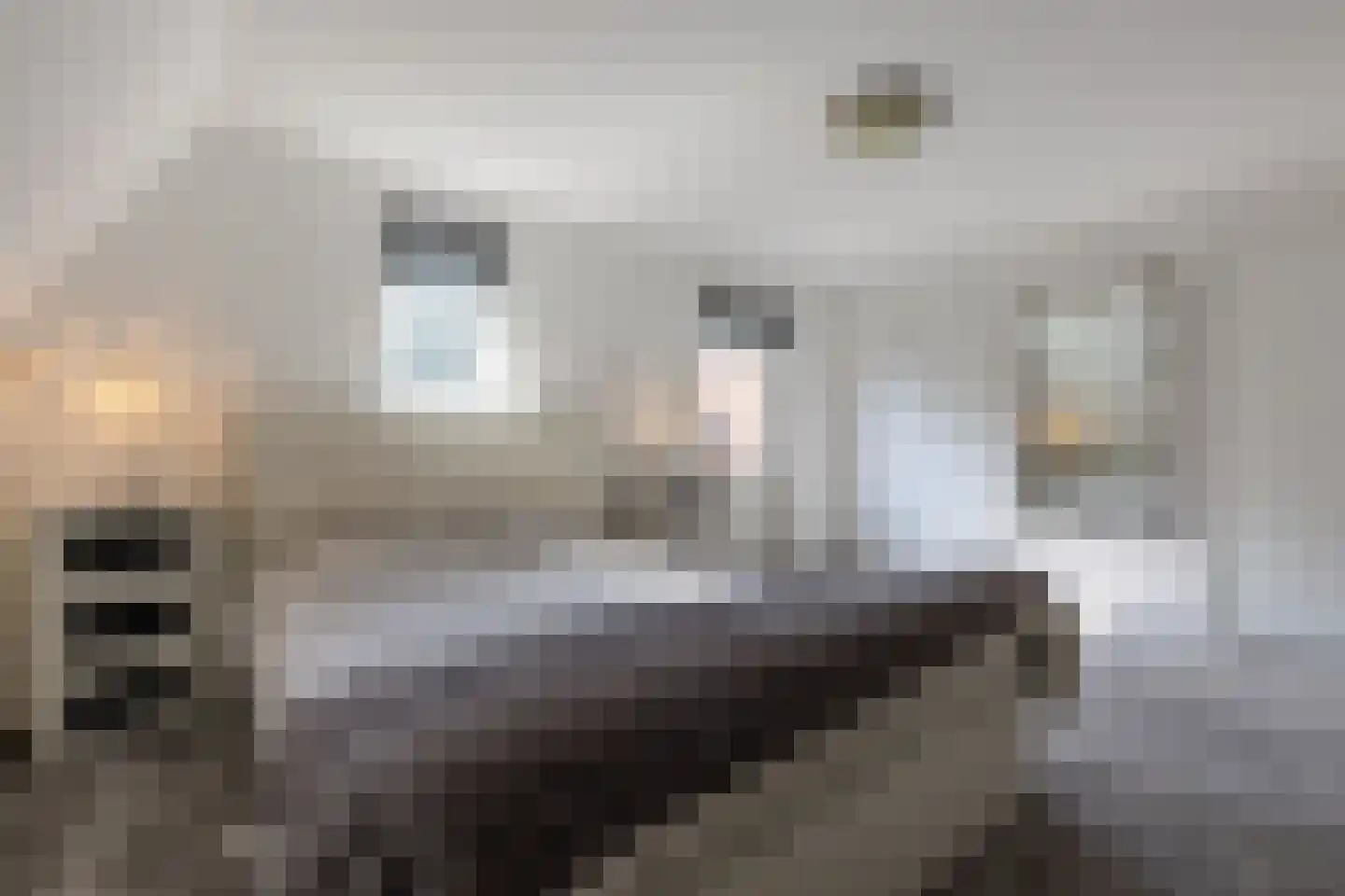 Dijkstraat 4 Gendt thumbnail 28