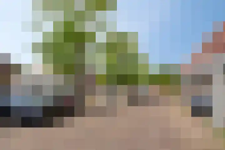 Dijkstraat 4 Waalwijk thumbnail 27