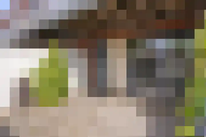 Dijkstraat 4 Waalwijk thumbnail 9