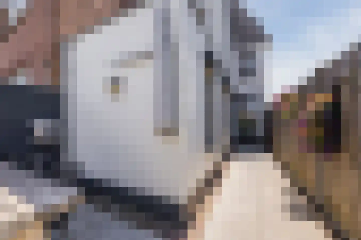 Dijkstraat 40 Breda thumbnail 30