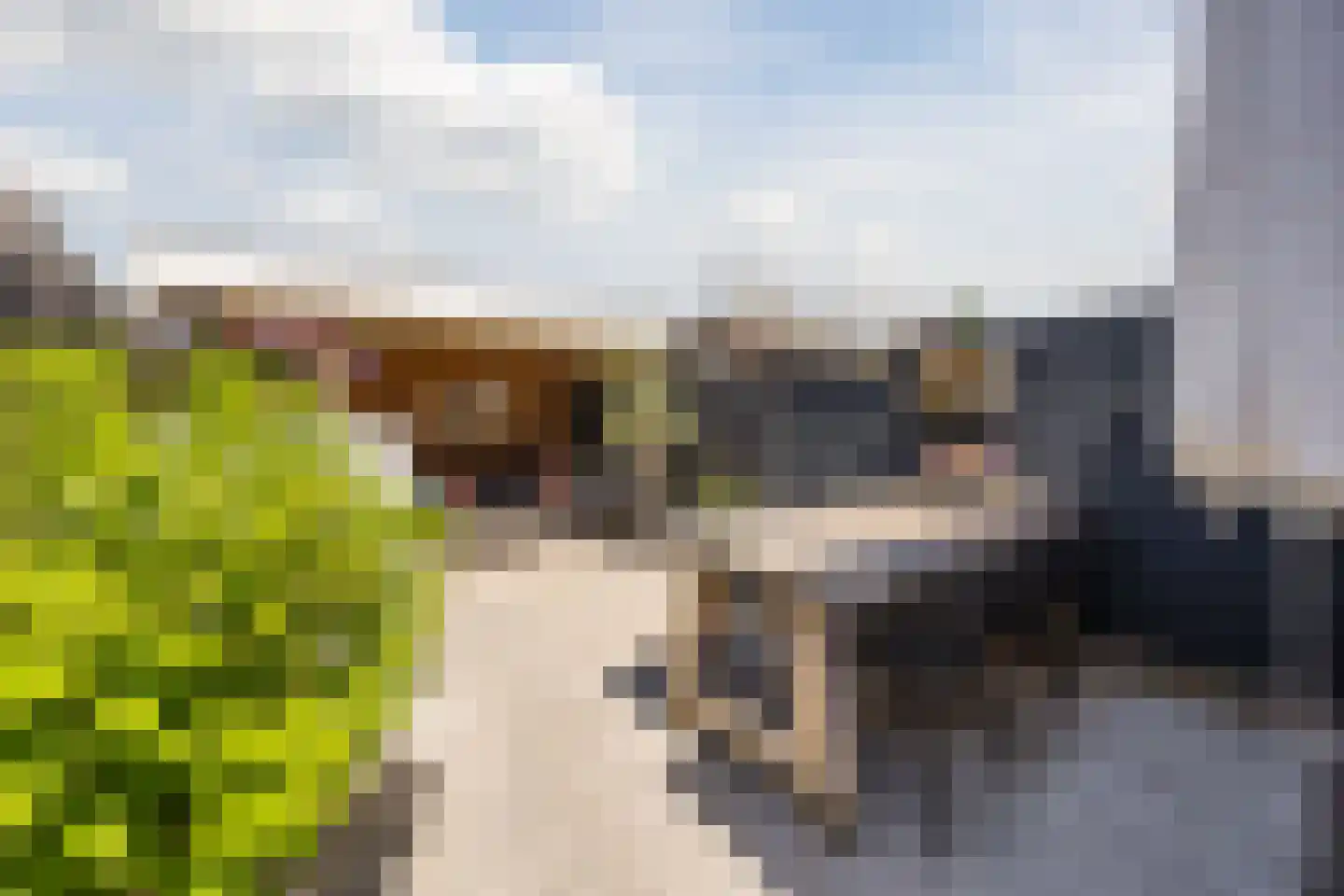 Dijkstraat 40 Breda thumbnail 31