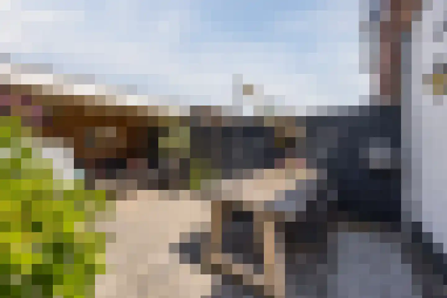 Dijkstraat 40 Breda thumbnail 32